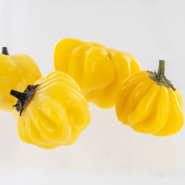 Yellow Brazilian Starfish Pepper Seeds - The Pepper Pantry (Formerly Marie Sharp's)